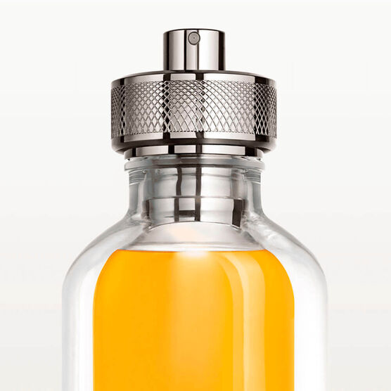 CARTIER    L'ENVOL       EDP  100ML